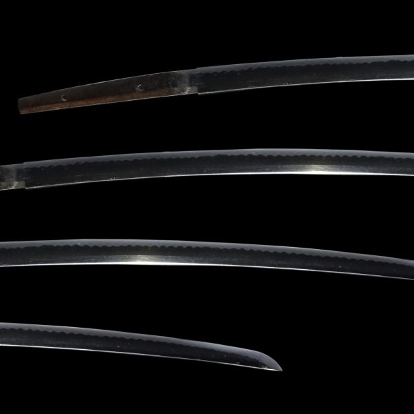 Antique Japanese Sword Katana<br> Unsigned Jyumyo<br> NTBHK <span style="color: #ff0000;">Hozon</span> Certificate - Image 2