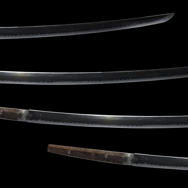 Antique Japanese Sword Katana<br> Unsigned Jyumyo<br> NTBHK <span style="color: #ff0000;">Hozon</span> Certificate - Image 3