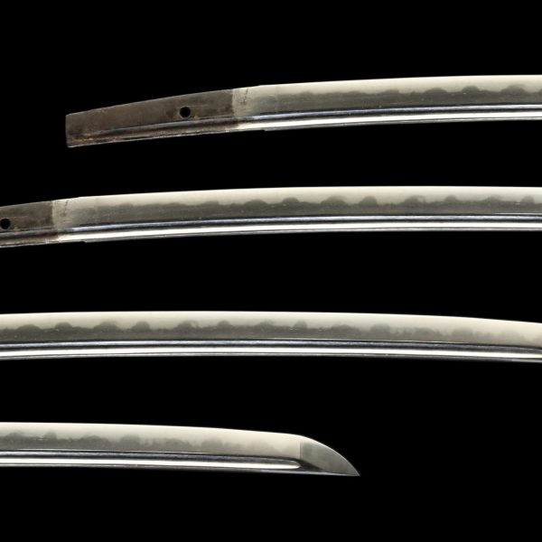 Antique Japanese Sword Wakizashi<br> Mumei SANEMITSU <br> NTHK Certificate - Image 2