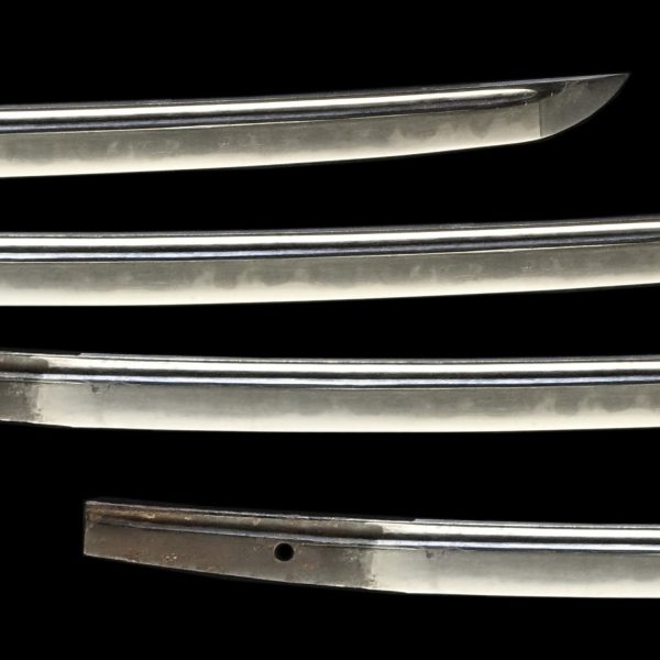 Antique Japanese Sword Wakizashi<br> Mumei SANEMITSU <br> NTHK Certificate - Image 3