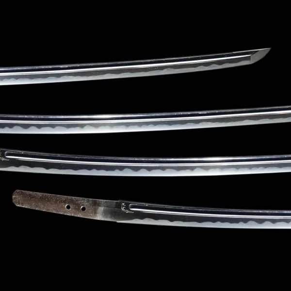 Antique Japanese Sword Tachi <br>Signed by Sukesada<br> NBTHK <span style="color: #ff0000;">Hozon</span> Certificate - Image 3