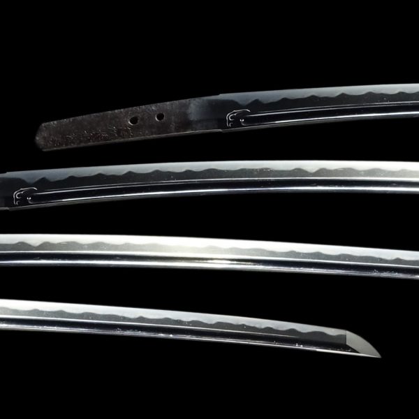 Antique Japanese Sword Tachi <br>Signed by Sukesada<br> NBTHK <span style="color: #ff0000;">Hozon</span> Certificate - Image 2