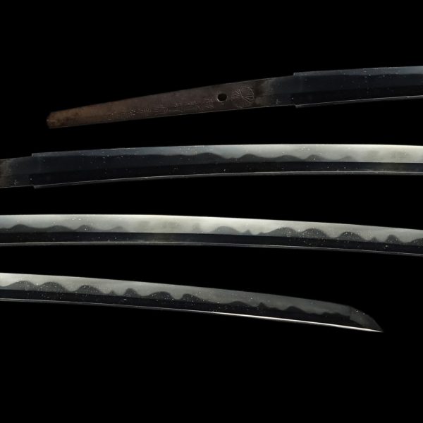 Antique Japanese Sword Katana Signed by Nobuyoshi <br> NBTHK<span style="color: #ff0000;"><strong> Tokubetsu Hozon</strong> </span>Certificate - Image 2
