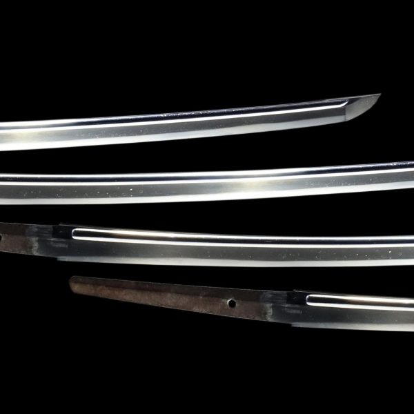 Antique Japanese Sword Katana Signed by Shigemune <br> NBTHK<span style="color: #ff0000;"><strong> Tokubetsu Hozon</strong> </span>Certificate - Image 3