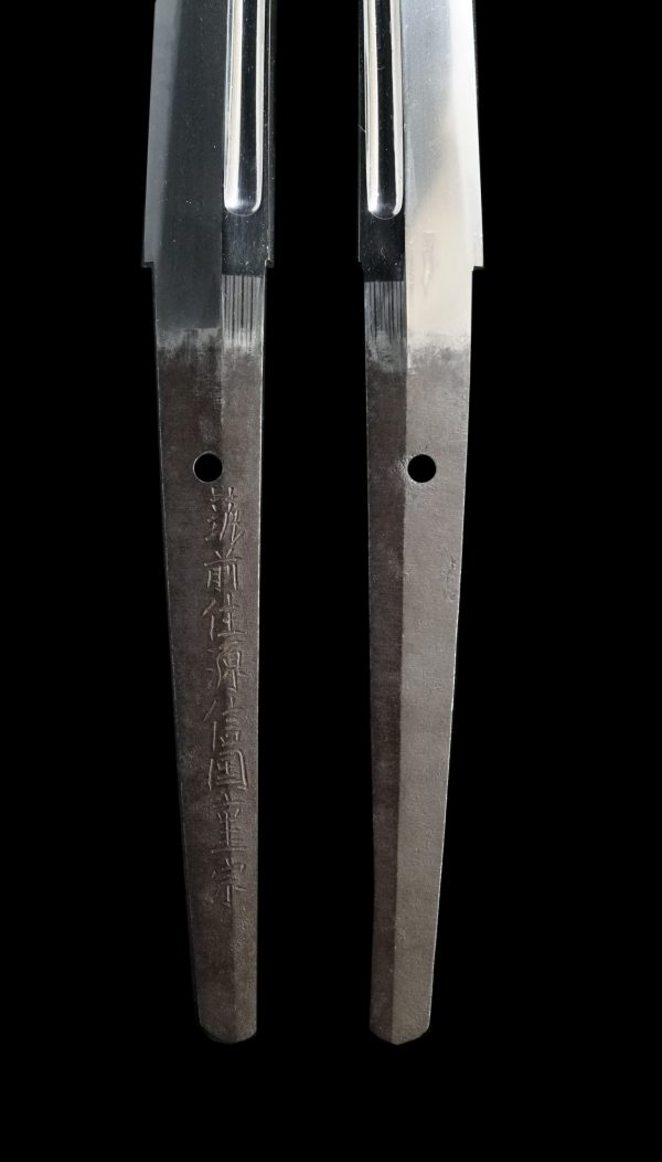 Antique Japanese Sword Katana Signed by Shigemune <br> NBTHK<span style="color: #ff0000;"><strong> Tokubetsu Hozon</strong> </span>Certificate - Image 8