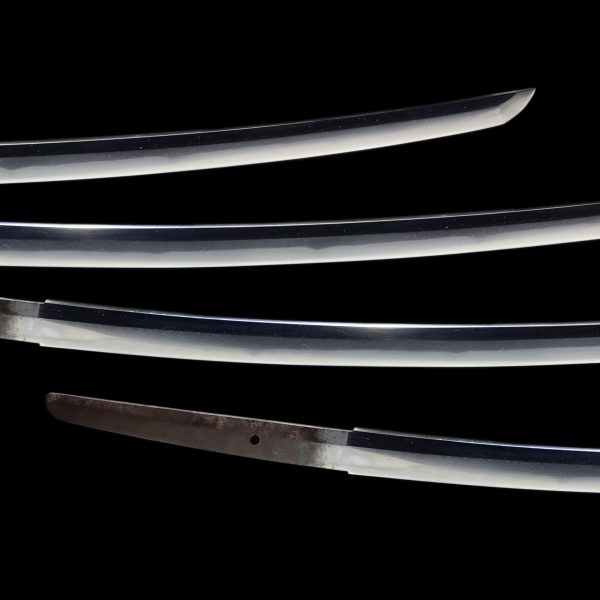 Antique Japanese Sword Katana Signed by Kanesaki <br> NBTHK<span style="color: #ff0000;"><strong> Tokubetsu Hozon</strong> </span>Certificate - Image 3