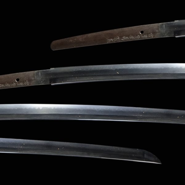 Antique Japanese Sword Katana Signed by Toshitane<br> NBTHK Tokubetsu Kicho Certificate - Image 2