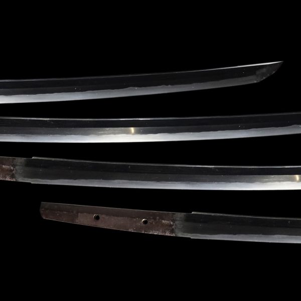 Antique Japanese Sword Katana Signed by Sadayuki <br> NBTHK<span style="color: #ff0000;"><strong> Tokubetsu Hozon</strong> </span>Certificate - Image 3