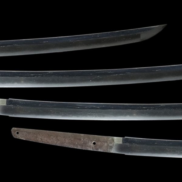 Antique Japanese Sword Katana Signed by Katsuie <br> NBTHK<span style="color: #ff0000;"><strong> Tokubetsu Hozon</strong> </span>Certificate - Image 3
