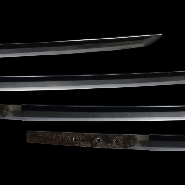 Antique Japanese Sword Katana<br> Signed by Korehira<br> NBTHK<span style="color: #ff0000;"> Hozon</span> Certificate - Image 3