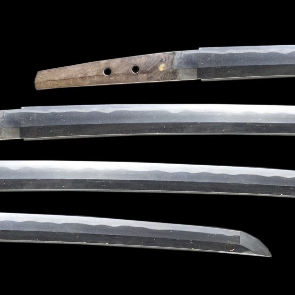 Antique Japanese Sword Wakizashi<br> Unsigned Nobutaka <br> NTHK Kanteisho Certificate - Image 2
