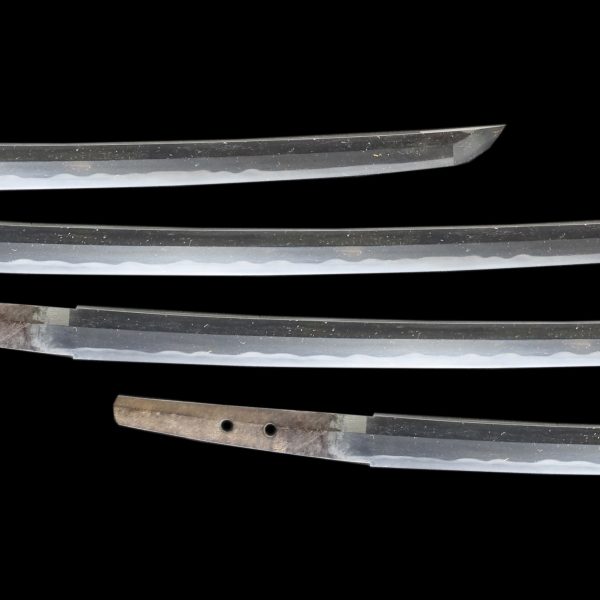 Antique Japanese Sword Wakizashi<br> Unsigned Nobutaka <br> NTHK Kanteisho Certificate - Image 3