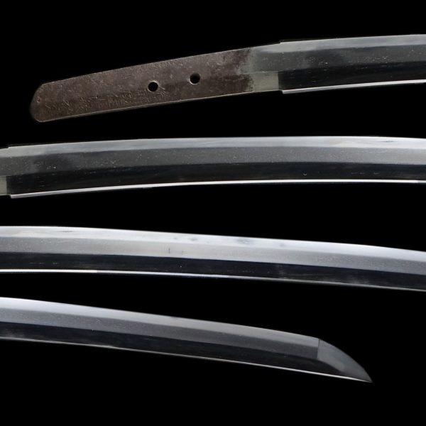 Antique Japanese Sword Katana <br>Signed by Sukesada <br>NBTHK <span style="color: #ff0000;">Hozon</span> Certificate - Image 2
