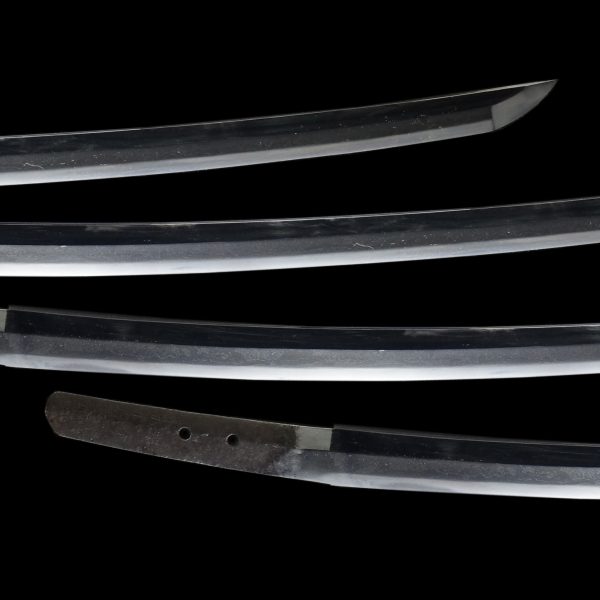 Antique Japanese Sword Katana <br>Signed by Sukesada <br>NBTHK <span style="color: #ff0000;">Hozon</span> Certificate - Image 3