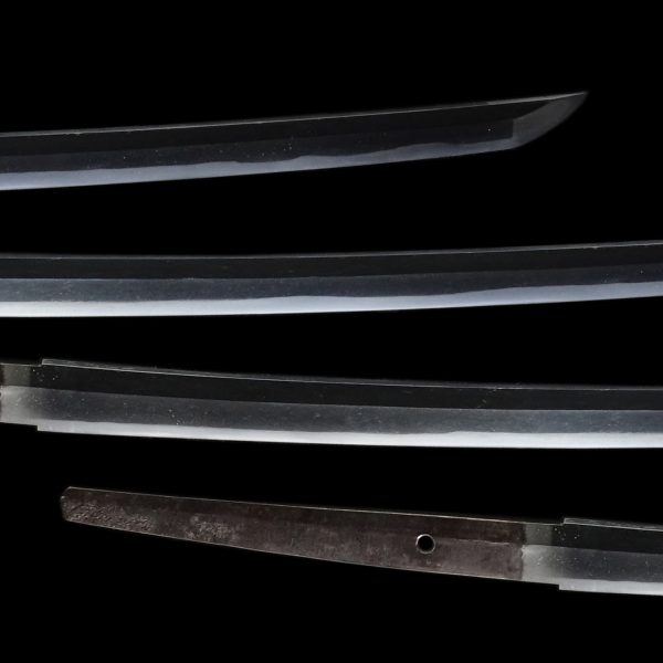 Antique Japanese Sword Katana Unsigned Shimosaka<br> NBTHK <span style="color: #ff0000;">Hozon</span> Certificate - Image 3