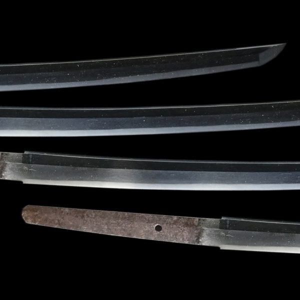 Antique Japanese Sword Katana Signed by Tsuguhira<br> NBTHK<span style="color: #ff0000;"><strong> Tokubetsu Hozon</strong> </span>Certificate(Blade＆Koshirae) - Image 3
