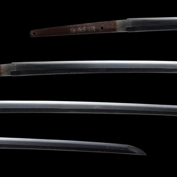 Antique Japanese Sword Katana Signed by Katsukuni<br> NBTHK<span style="color: #ff0000;"><strong> Tokubetsu Hozon</strong> </span>Certificate - Image 2