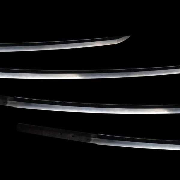 Antique Japanese Sword Katana Signed by Yasutoshi <br> NBTHK<span style="color: #ff0000;"><strong> Tokubetsu Hozon</strong> </span>Certificate - Image 3