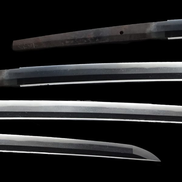 Antique Japanese Sword Katana <br>Signed by Tomotsugu <br>NBTHK <span style="color: #ff0000;">Hozon</span> Certificate - Image 2