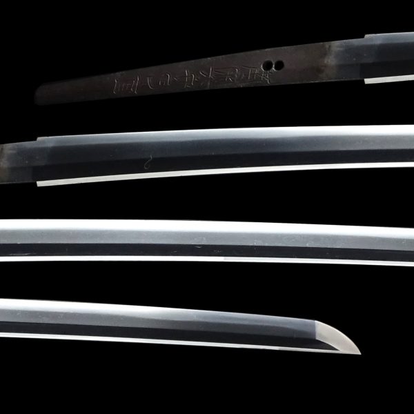 Antique Japanese Sword Katana Signed by Kaneshige<br> NBTHK<span style="color: #ff0000;"><strong> Tokubetsu Hozon</strong> </span>Certificate - Image 2