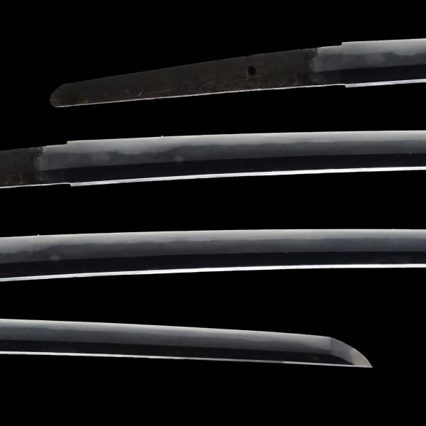 Antique Japanese Sword Katana Signed by Kunitsugu<br> NBTHK<span style="color: #ff0000;"><strong> Tokubetsu Hozon</strong> </span>Certificate - Image 2