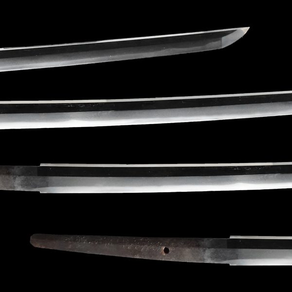 Antique Japanese Sword Katana Signed by Kunitsugu<br> NBTHK<span style="color: #ff0000;"><strong> Tokubetsu Hozon</strong> </span>Certificate - Image 3