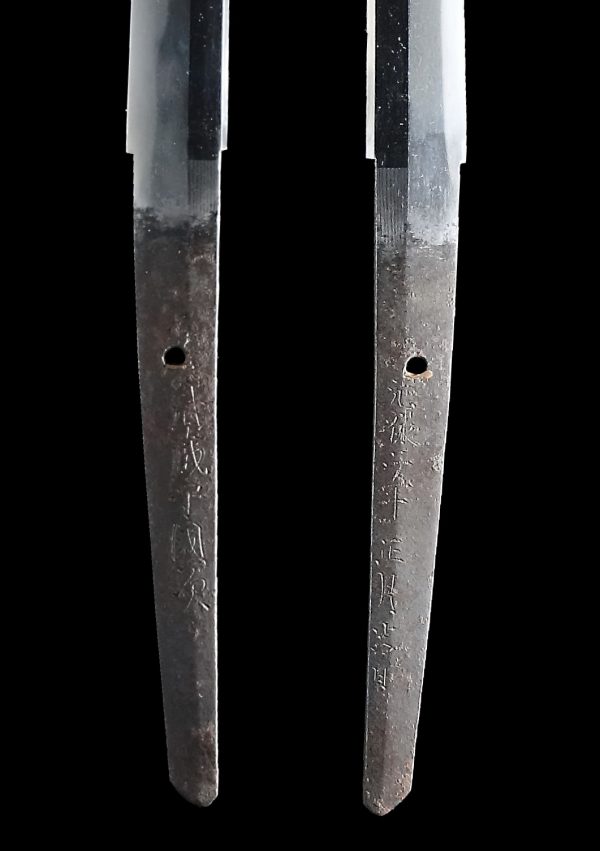 Antique Japanese Sword Katana Signed by Kunitsugu<br> NBTHK<span style="color: #ff0000;"><strong> Tokubetsu Hozon</strong> </span>Certificate - Image 8