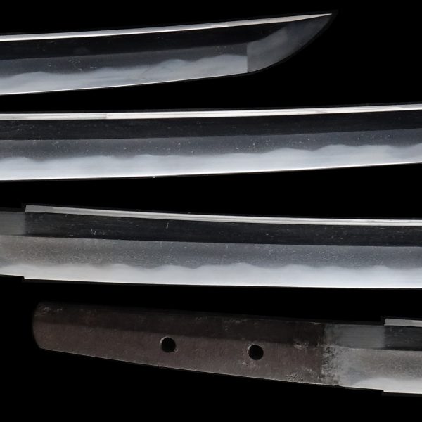 Antique Japanese Sword Wakizashi Signed by Minamoto Morimasa<br> NTHK Kanteisho Certificate - Image 3