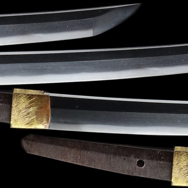 Antique Japanese Sword Daisho Signed by Tadahiro<br> NBTHK<span style="color: #ff0000;"> Hozon </span>Certificate - Image 5