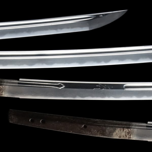 Antique Japanese Sword <br>Shirasaya Katana<br> Attributed to Kanemoto<br> NTHK Kanteisho Certificate - Image 3