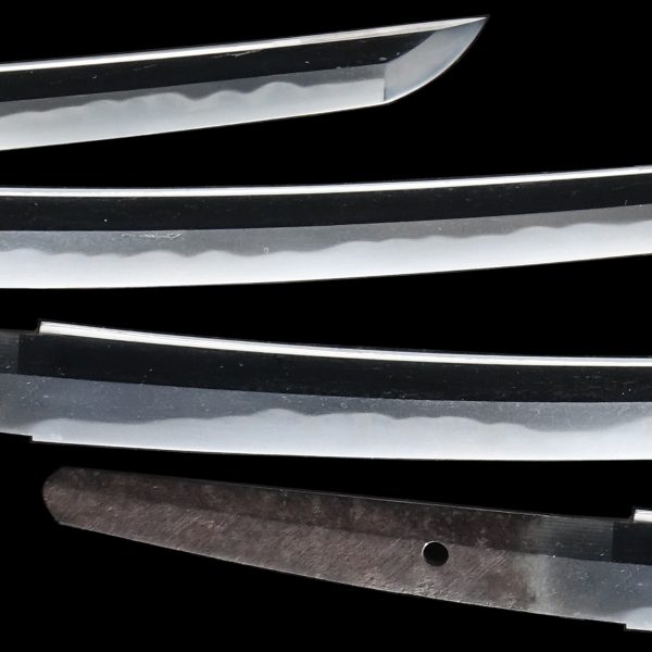 Antique Japanese Sword Wakizashi <br>Signed by Tadakuni <br>NBTHK </strong></span><span style="color: #ff0000;"><strong> Tokubetsu Hozon</strong></span> Certificate - Image 3