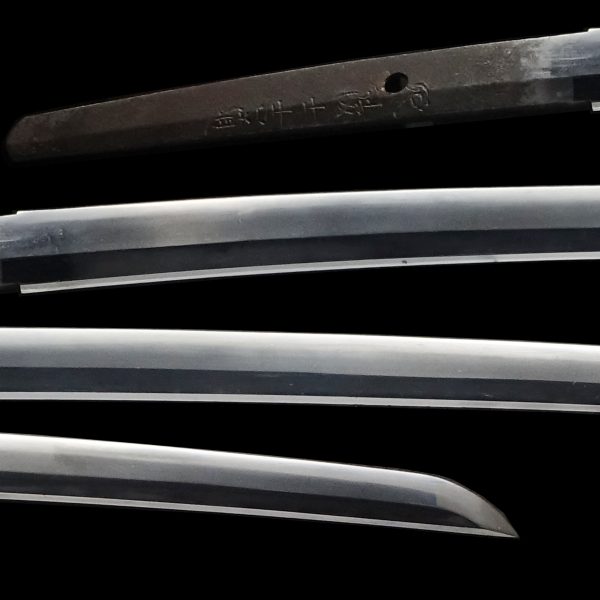 Antique Japanese Sword Katana Signed by 7th-gen Yoshimichi<br> NBTHK<span style="color: #ff0000;"><strong> Tokubetsu Hozon</strong> </span>Certificate - Image 2