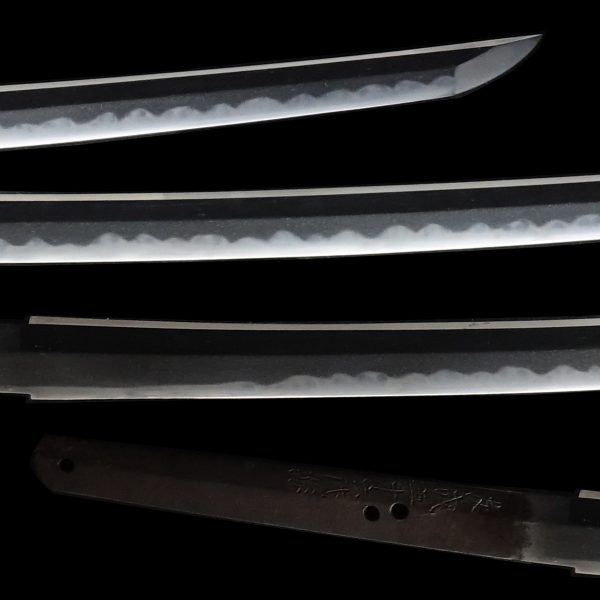Antique Japanese Sword Katana Signed by Sukeharu<br> NBTHK<span style="color: #ff0000;"><strong> Tokubetsu Hozon</strong> </span>and Tokubetsu Kicho Certificate - Image 3