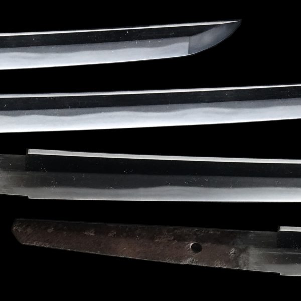 Antique Japanese Sword Wakizashi Signed by Ippo <br> NBTHK<span style="color: #ff0000;"><strong> Tokubetsu Hozon</strong> </span>Certificate - Image 3