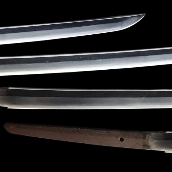 Antique Japanese Sword Katana Signed by Toshitsuna<br> NBTHK<span style="color: #ff0000;"><strong> Tokubetsu Hozon</strong> </span>Certificate - Image 3