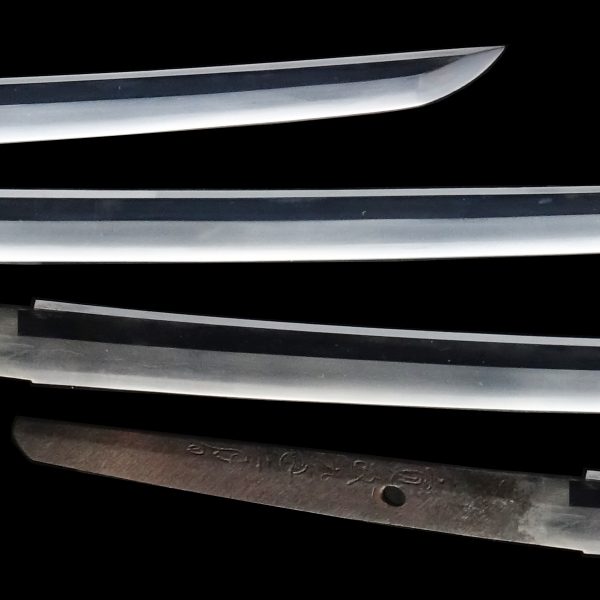 Antique Japanese Sword Katana Signed by 7th-gen Yoshimichi<br> NBTHK<span style="color: #ff0000;"><strong> Tokubetsu Hozon</strong> </span>Certificate - Image 3