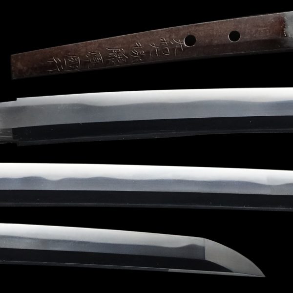 Antique Japanese Sword Katana Signed by Fujiwara Kuniyuki <br> NBTHK<span style="color: #ff0000;"><strong> Tokubetsu Hozon</strong> </span>Certificate - Image 2
