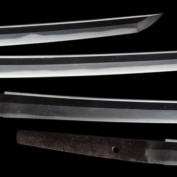 Antique Japanese Sword Katana <br>Signed by Kunisada<br>NBTHK <span style="color: #ff0000;">Hozon</span> Certificate - Image 3