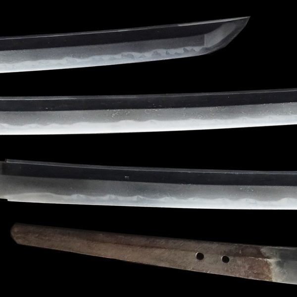 Antique Japanese Sword Katana Signed by Moriyuki<br> NBTHK<span style="color: #ff0000;"><strong> Tokubetsu Hozon</strong> </span>Certificate - Image 3