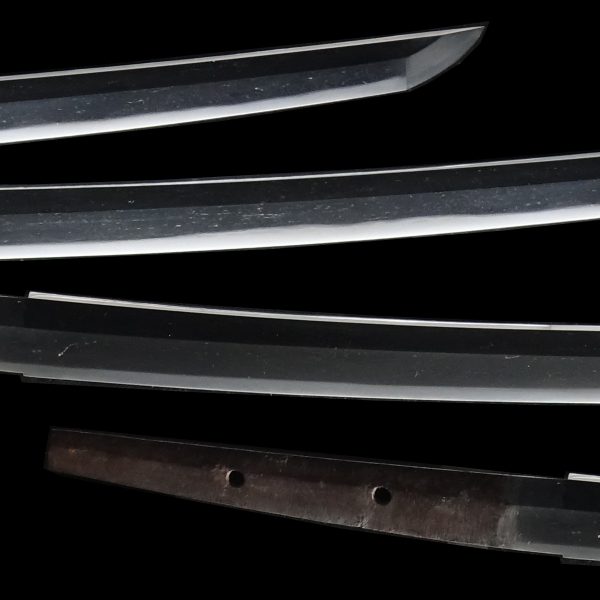 Antique Japanese Sword Katana Unsigned Ko-Uda<br> NBTHK<span style="color: #ff0000;"><strong> Tokubetsu Hozon</strong> </span>Certificate - Image 3
