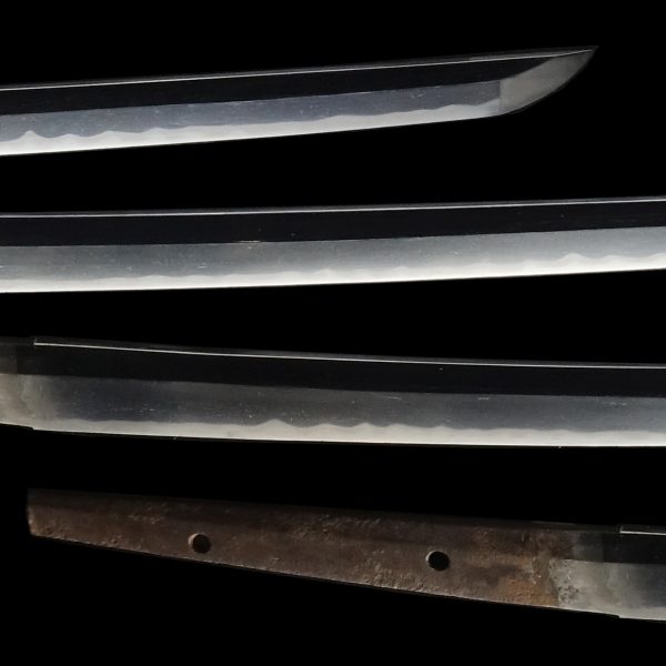 Antique Japanese Sword Katana <br>Unsigned Shigaseki<br> NBTHK <span style="color: #ff0000;">Hozon</span> Certificate - Image 3