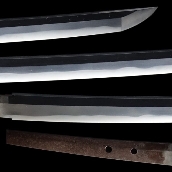 Antique Japanese Sword Katana Signed by Fujiwara Kuniyuki <br> NBTHK<span style="color: #ff0000;"><strong> Tokubetsu Hozon</strong> </span>Certificate - Image 3
