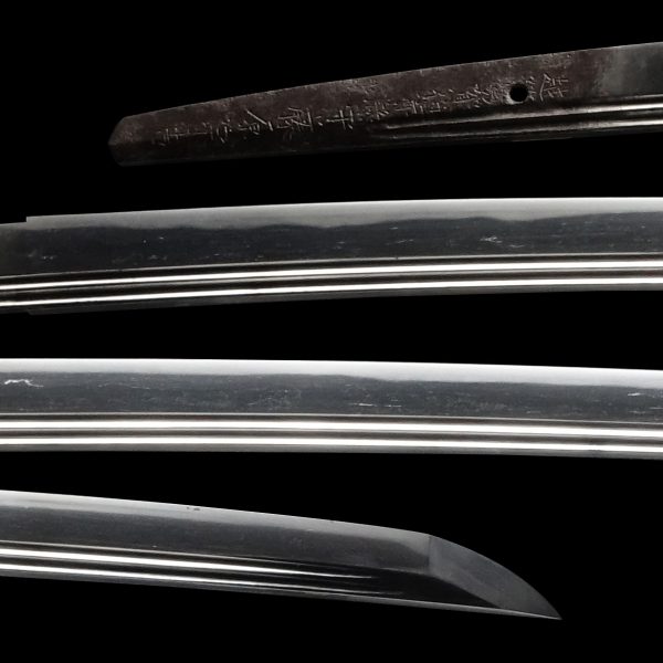 Antique Japanese Sword Katana Signed by Muneyoshi<br> NBTHK<span style="color: #ff0000;"><strong> Tokubetsu Hozon</strong> </span>Certificate - Image 2