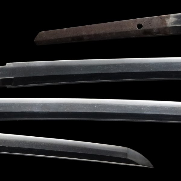 Antique Japanese Sword Katana Signed by Hizenkoku Hirouji<br> NBTHK <span style="color: #ff0000;">Hozon </span>Certificate - Image 2