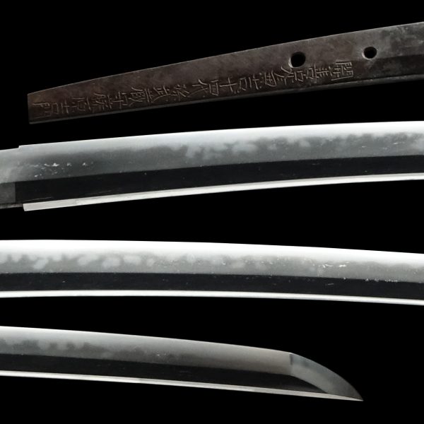 Antique Japanese Sword Katana Signed by Yoshikado<br> NBTHK<span style="color: #ff0000;"><strong> Tokubetsu Hozon</strong> </span>Certificate - Image 2
