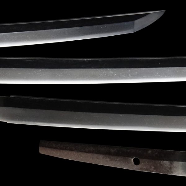Antique Japanese Sword Katana Unsigned Shikkake<br> NBTHK<span style="color: #ff0000;"><strong> Tokubetsu Hozon</strong> </span>Certificate - Image 3