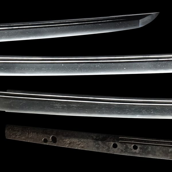 Antique Japanese Sword  Signed by Sanenori<br> NBTHK<span style="color: #ff0000;"><strong> Tokubetsu Hozon</strong> </span>Certificate - Image 3