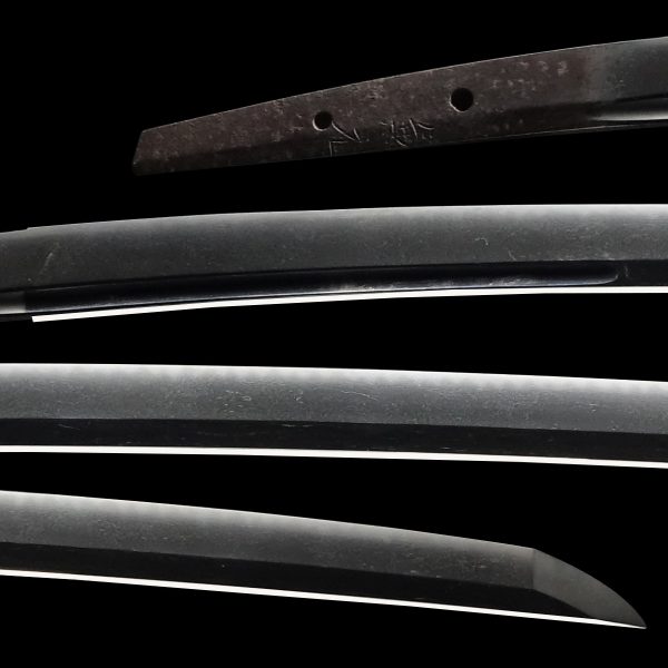 Antique Japanese Sword Daisho Signed by Kanemoto<br> NBTHK <span style="color: #ff0000;">Hozon </span>Certificate - Image 2