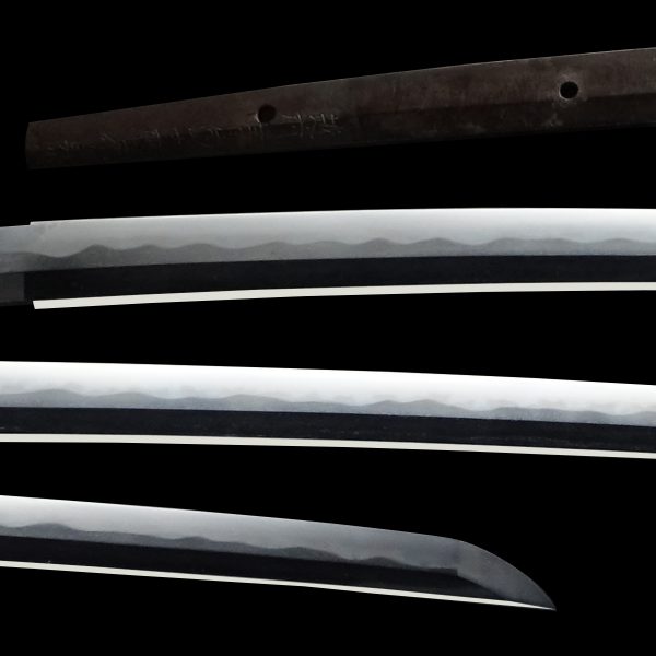 Antique Japanese Sword Katana Signed by Sadatsugu<br> NBTHK<span style="color: #ff0000;"><strong> Tokubetsu Hozon</strong> </span>Certificate - Image 2