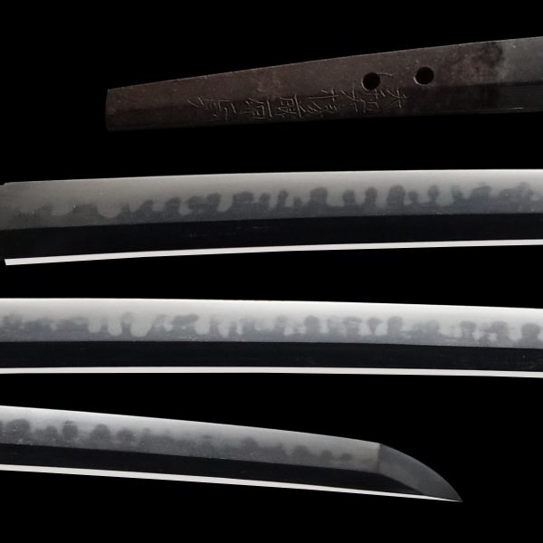 Antique Japanese Sword Daisho Signed by Masanori<br> NBTHK<span style="color: #ff0000;"><strong> Tokubetsu Hozon</strong> </span>Certificate - Image 2